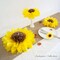 Pack of 10-Sunflower Tissue Paper Pom Poms Décor Yellow Flowers,12" 8" Sunflower (yellow and brown)